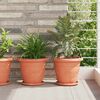 vidaXL Plant Pots 6 pcs Brick Red &Oslash; 26 x 21.5 cm Plastic