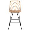 vidaXL Bar Stools 2 pcs 45x56x103.5 cm PE Rattan and Steel