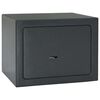 vidaXL Safe Box with Lock Dark grey 23 x 17 x 17 cm Steel