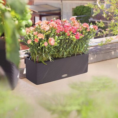 LECHUZA Planter CUBE color triple with Brackets Anthracite 13684