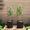 Product Thumbnail Image 3 of 10