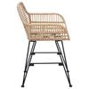 vidaXL Dining Chair 2 pcs Natural 55 x 50 x 74 cm Rattan and Iron
