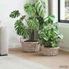 Product Thumbnail Image 2 of 9