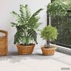 Product Thumbnail Image 3 of 9