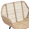 vidaXL Dining Chair 2 pcs Natural 55 x 50 x 74 cm Rattan and Iron
