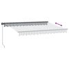 vidaXL Manual Retractable Awning with LED Anthracite&White 350x250 cm