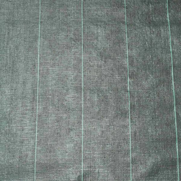 Showing Product Image 2 of 6
