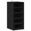 vidaXL Shoe Cabinet 32 x 35 x 70 cm Engineered Wood Black Oak