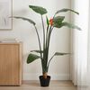 Product Thumbnail Image 2 of 6