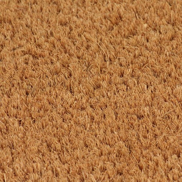 vidaXL Door Mat Natural 50x80 cm Tufted Coir