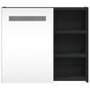 vidaXL Bathroom Mirror Cabinet with LED Light Black 60x13x52 cm