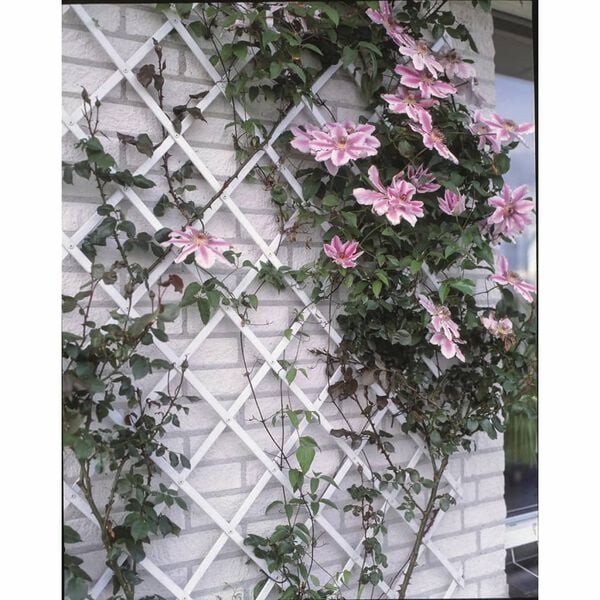 Nature Garden Trellis 100x200 cm PVC White 6040703