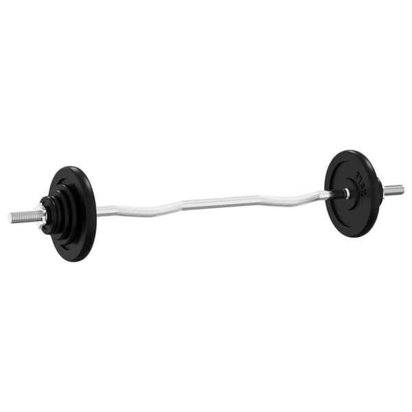vidaXL Barbell with Plates 90 kg Cast Iron & Chrome Plated Steel