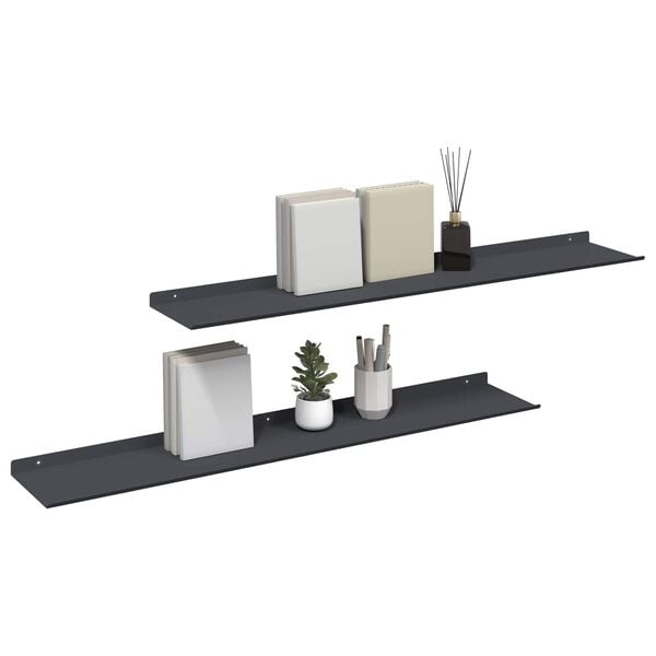 vidaXL Floating Shelf 2 pcs Anthracite 100 x 18 x 2.5 cm Steel