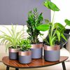Product Thumbnail Image 2 of 7