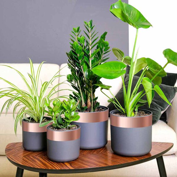 Showing Product Image 2 of 7