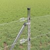 Product Thumbnail Image 4 of 15