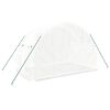 vidaXL Greenhouse with Steel Frame White 6 m² 3x2x2 m