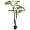 Product Thumbnail Image 3 of 6