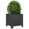 Product Thumbnail Image 4 of 12