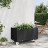 Product Thumbnail Image 2 of 7