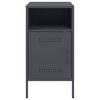 vidaXL Bedside Cabinets 2 pcs Anthracite 36x39x68 cm Steel