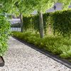 Product Thumbnail Image 2 of 8