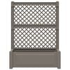 Product Thumbnail Image 4 of 8