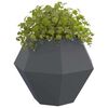 vidaXL Planter Anthracite 100 x 100 x 80 cm Steel