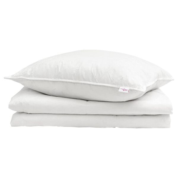 vidaXL Summer Duvet with Pillow 2 pcs White Down Feather
