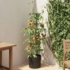 Product Thumbnail Image 2 of 5