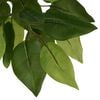 vidaXL Artificial Ficus Tree 1260 Leaves 200 cm Green