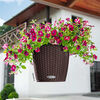 LECHUZA Hanging Planter NIDO Cottage 28 ALL-IN-ONE Mocha
