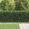 vidaXL Spike Fence Black 200 x 110 cm Powder-Coated Steel