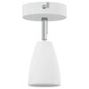 Product Thumbnail Image 7 of 14