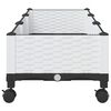Product Thumbnail Image 4 of 8