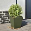 Product Thumbnail Image 2 of 10