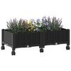 Product Thumbnail Image 3 of 8