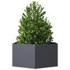 Product Thumbnail Image 6 of 8