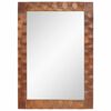 vidaXL Bathroom Mirror Acacia Brown Finish 50 x 70 x 2.5 cm