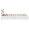 Product Thumbnail Image 8 of 11