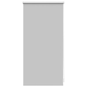 Roller Blind Blackout 40 x 100 cm Grey