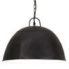 vidaXL Industrial Vintage Hanging Lamp 25 W Black Round 41 cm E27