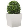 Product Thumbnail Image 4 of 12
