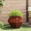 Product Thumbnail Image 2 of 12