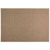 vidaXL Indoor and Outdoor Rug AGIRA Natural 280 x 200 cm Polyester