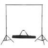 vidaXL Backdrop Support System 300 x 300 cm Green