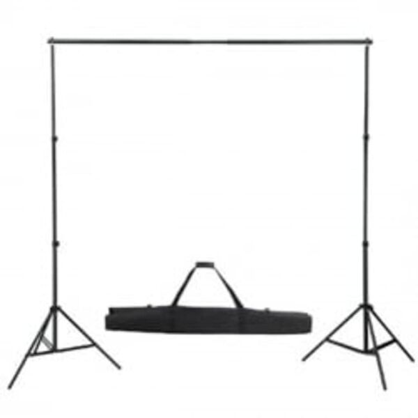 vidaXL Backdrop Support System 300 x 300 cm Green