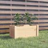 vidaXL Garden Planter 60x31x31 cm Solid Pinewood