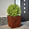 Product Thumbnail Image 2 of 12